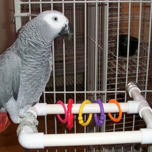 Small to Medium PVC Perch