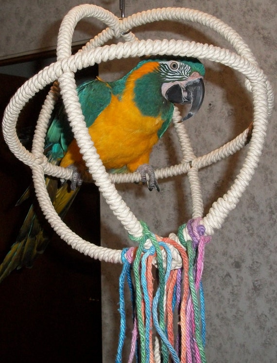 Large parrot cheap swings