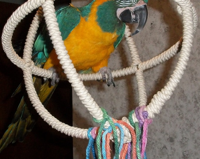 Image showcasing Large Parrot Swing | Big Bird Swing | Parrot Toy | Bird Toy - Etsy