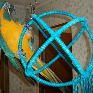 Large Blue 3 Ring Parrot Orbit swing