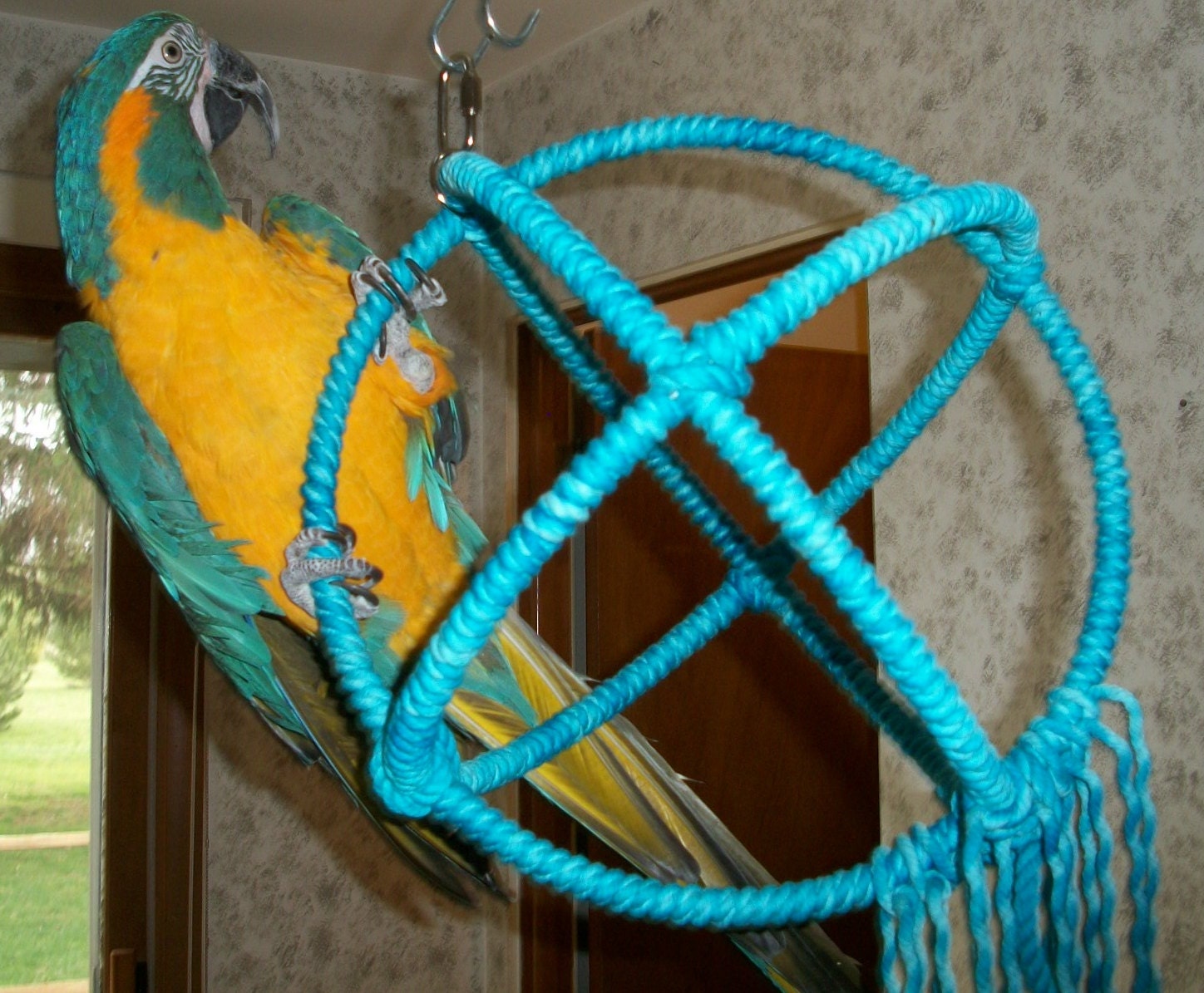 SUNGROW Cockatiel & Parakeet Cotton Rope Perch for Bird Cages, Rat & Small  Animal Climbing Accessories 