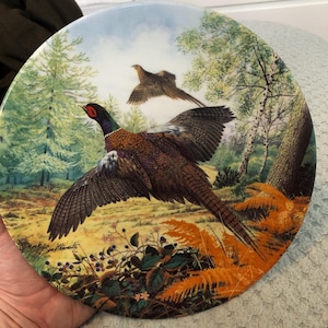 pheasant plate , hand made and hand painted