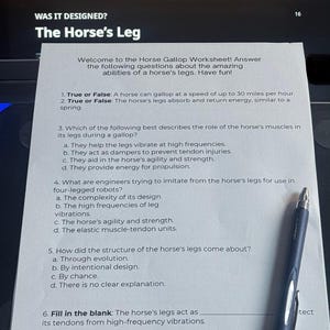 May include: A worksheet titled "The Horse's Leg" with questions about the anatomy and biomechanics of a horse's legs. The worksheet includes true or false questions, multiple choice questions, and a fill-in-the-blank question.
