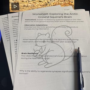 May include: A worksheet titled "Exploring the Arctic Ground Squirrel's Brain" with a squirrel illustration. The worksheet includes questions about hibernation adaptations and brain resilience. A blue pen rests on the paper.