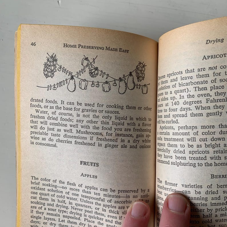 May include: A vintage book titled "Home Preserving Made Easy" with illustrations of fruits and vegetables hanging on a clothesline. The book includes instructions for drying apricots, apples, and berries.