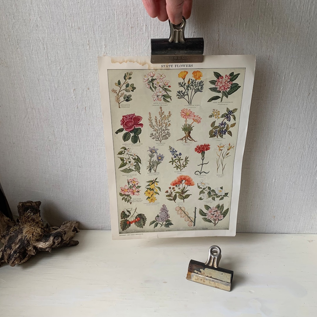 Vintage Binder Clips Distressed Binder Clip Lot Wall Art Hanging