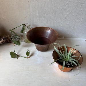 May include: Two copper bowls with a wide, flared rim and a deep, rounded base. One bowl is empty, while the other contains a spiky, light green air plant. A small clear glass bottle with a trailing green vine sits to the left of the bowls.