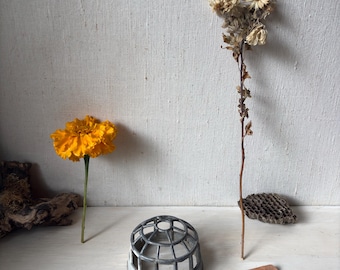 Vintage Cage Frog Flower Holder
