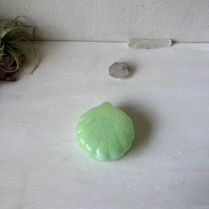 May include: A light green, shell-shaped decorative object. The object has a glossy finish and a ribbed texture. A small, clear crystal and a gray stone are also visible. The background is a white, textured surface.