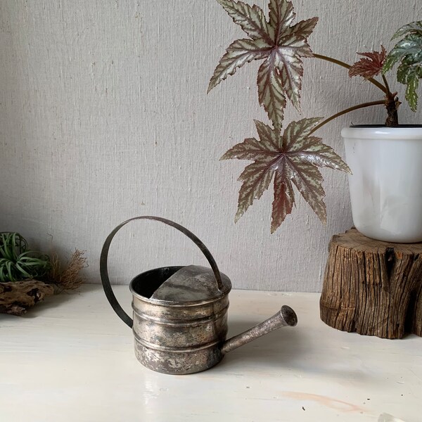Houseplant Watering Can Small Etsy