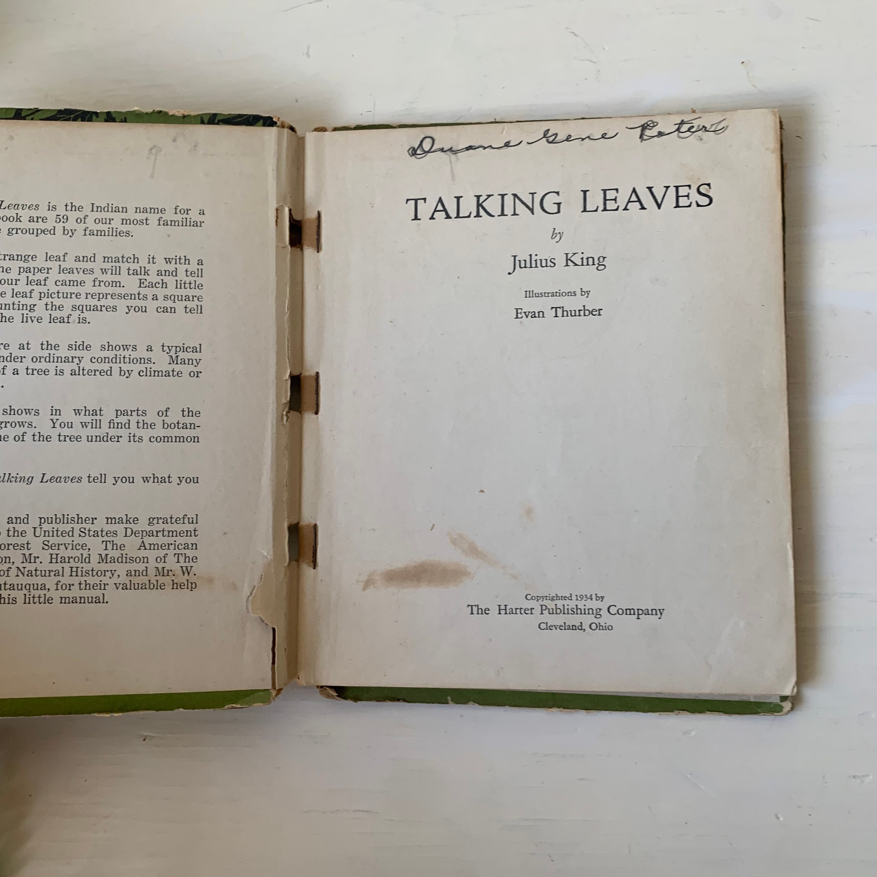 Vintage Tree Book missing Pages Trees Ephemera Talking - Etsy