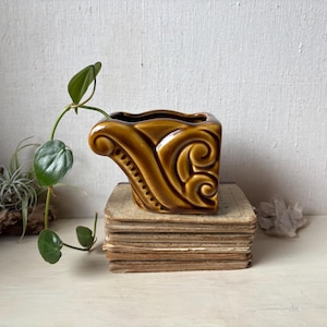 May include: A brown ceramic planter with an ornate, swirling design, resting on a stack of vintage books. The planter has a unique shape and is filled with a trailing green plant, adding a touch of nature.