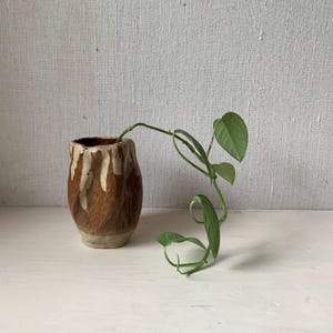 May include: A brown and white ceramic vase with a textured surface, holding a green vine plant with leaves.