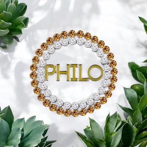 Philo Enamel and Rhinestone Brooch