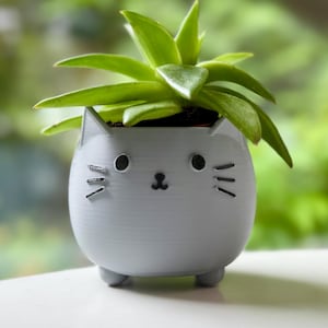 Puede incluir: Una pequeña maceta gris claro con forma de gato con una planta suculenta verde. La maceta tiene un diseño de cara de gato con bigotes y ojos negros. La planta tiene hojas verdes vibrantes.