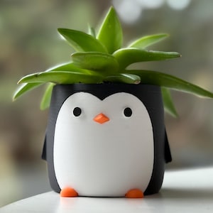 Puede incluir: Una maceta con forma de pingüino en blanco y negro con pico y pies naranjas, que contiene una planta suculenta verde. La maceta tiene un diseño de dibujos animados lindo, adecuado para plantas pequeñas. La planta tiene hojas largas y verdes.