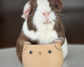 Guinea Pig Planter | Tan