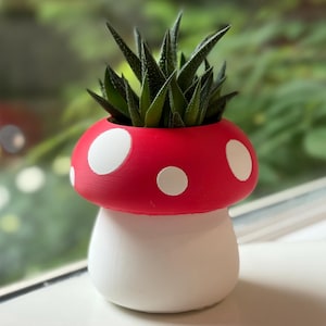 Op de afbeelding: Een kleine vetplant met donkergroene, puntige bladeren in een paddenstoelvormige plantenbak. De pot heeft een felrode hoed met witte ronde stippen en een effen witte voet, wat zorgt voor een opvallend paddenstoelachtig uiterlijk.
