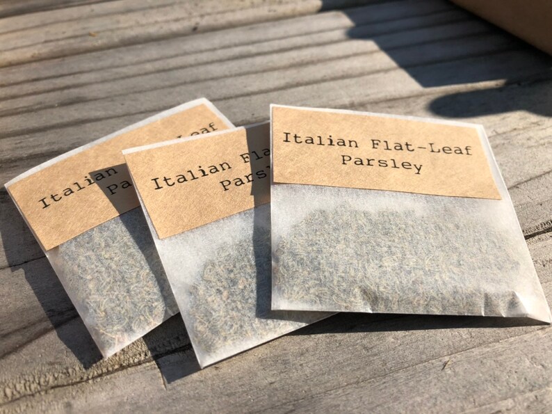 Italian Flat Leaf Parsley Seed Packet