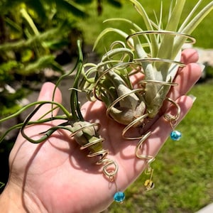 Air Plant Wire Hanger Cone, Tillandsia, Suncatcher, Air Plant Holder, Hanging Planter, Window Decor