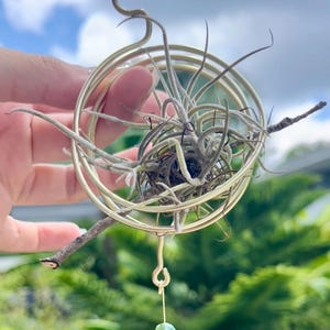 Air Plant Wire Hanger Loop, Tillandsia, Suncatcher, Air Plant Holder, Hanging Planter, Window Decor