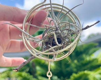 Air Plant Wire Hanger Loop, Tillandsia, Suncatcher, Air Plant Holder, Hanging Planter, Window Decor