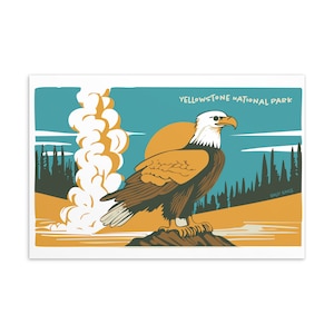 Cartão postal de pássaro: Águia americana no Parque Nacional de Yellowstone