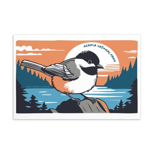Cartão postal de pássaro: chapim-de-coroa-preta no Parque Nacional de Acadia