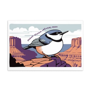 Cartão postal de pássaro: Trepadeira-de-peito-branco no Parque Nacional do Grand Canyon