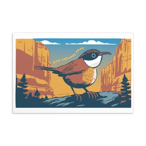 Cartão postal de pássaro: Canyon Wren no Parque Nacional de Zion