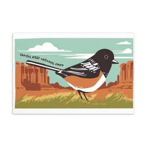 Cartão postal de pássaro: Towhee manchado no Parque Nacional Capitol Reef