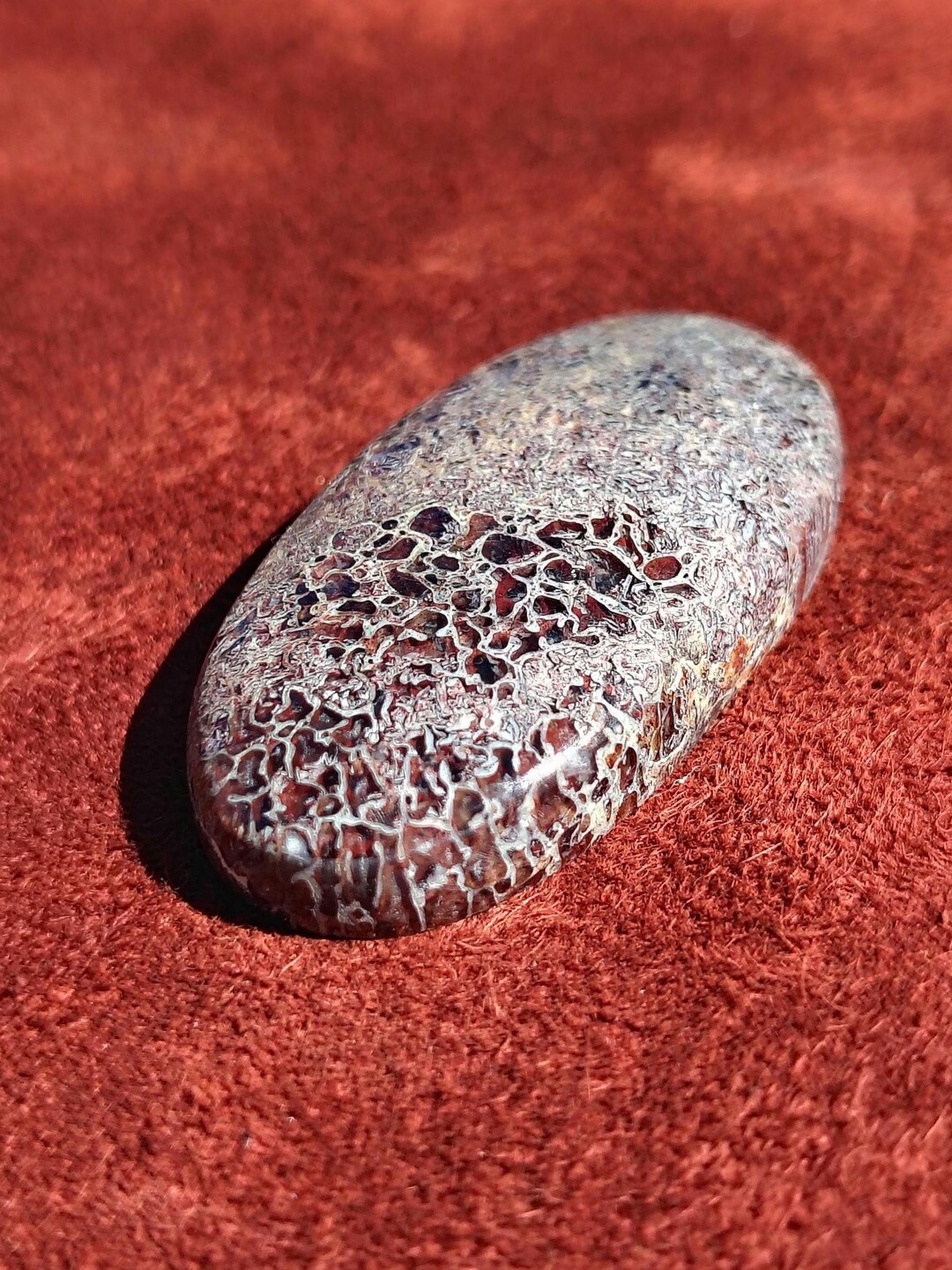 Dino Bone Cabochon: Large Oval Gembone (39.3 X 20.4 Mm, 53.64 CT) - Etsy