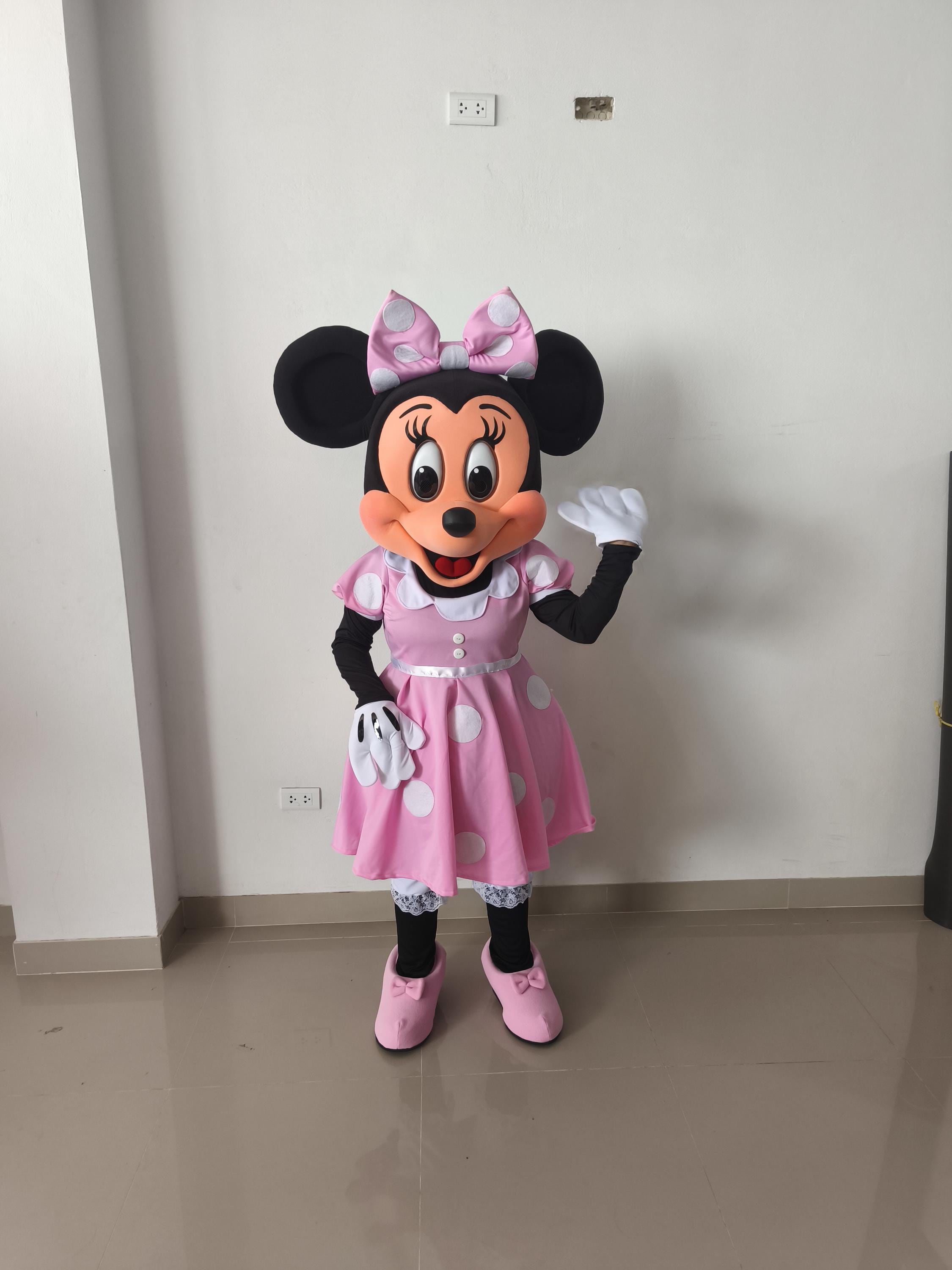 Plus size minnie mouse costume Canada