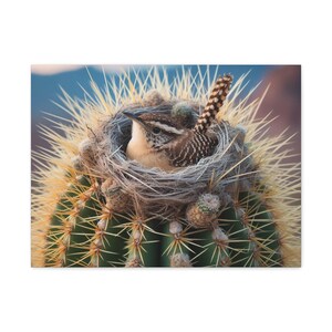 24&quot;x18&quot; Premium Canvas Wall Art - Cactus Wren Nests in Desert Cacti - Made in USA