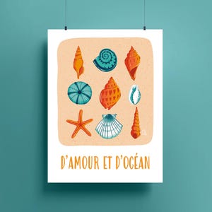 Affiche Coquillages - D'amour et d'Océan