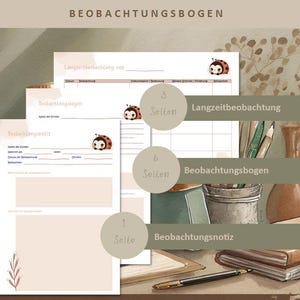 May include: A set of beige and white observation sheets with ladybug illustrations. The sheets are labeled with German text, including "Beobachtungsbogen" and "Langzeitbeobachtung." A pen, pencils, and a small metal container are visible.