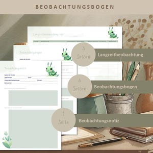 Puede incluir: Un conjunto de hojas de observación con un diseño de acuarela. Las hojas incluyen el texto "Beobachtungsbogen" y presentan ilustraciones de un insecto verde. Las hojas están etiquetadas con "3 Seiten", "6 Seiten" y "1 Seite".
