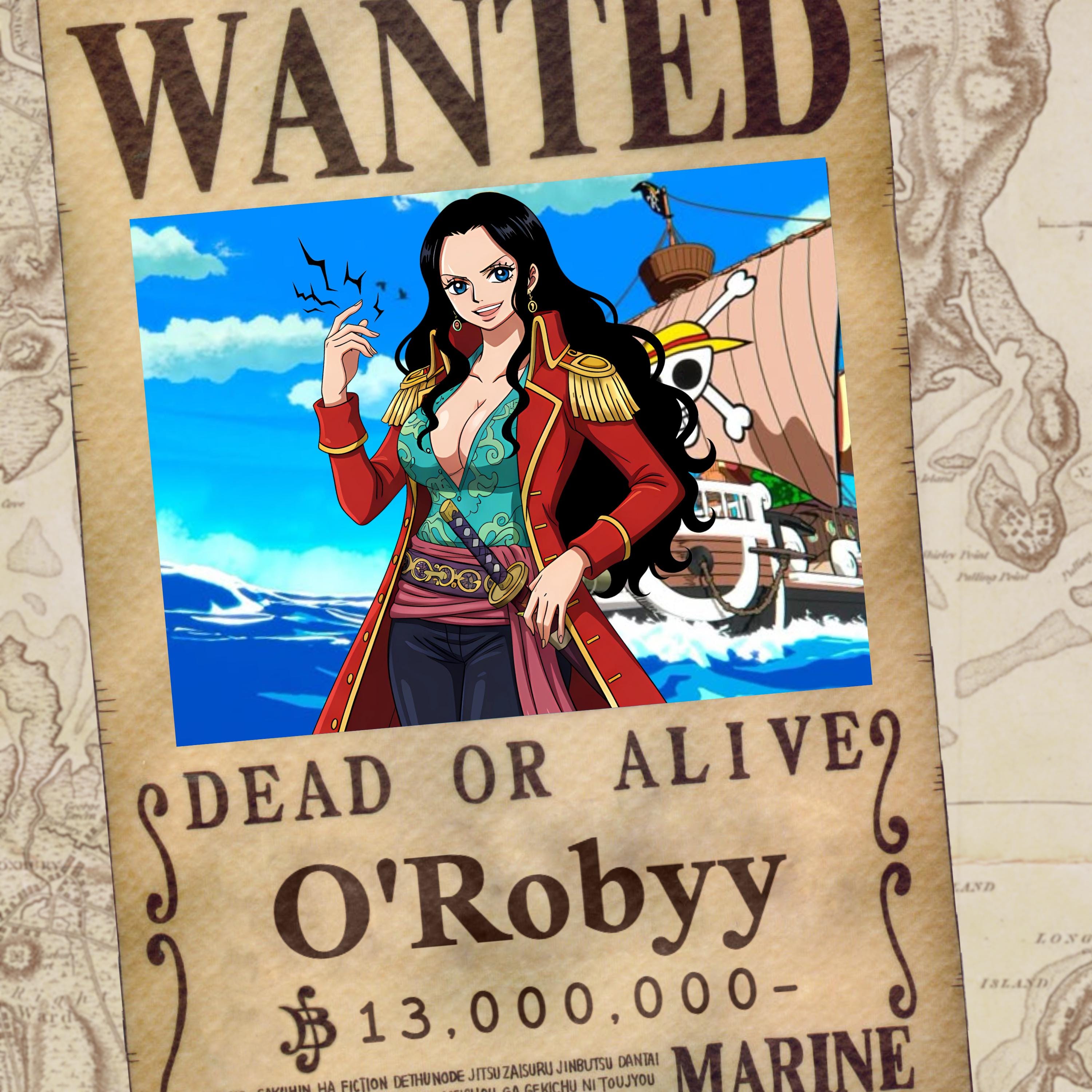 Custom Anime Wanted Poster: One Piece Style Illustration for Gift