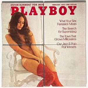 70s Playboy Playmate - Etsy