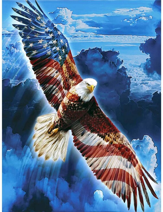 BALD EAGLE SOARING Paint By Numbers Kit Paint Your Own Etsy