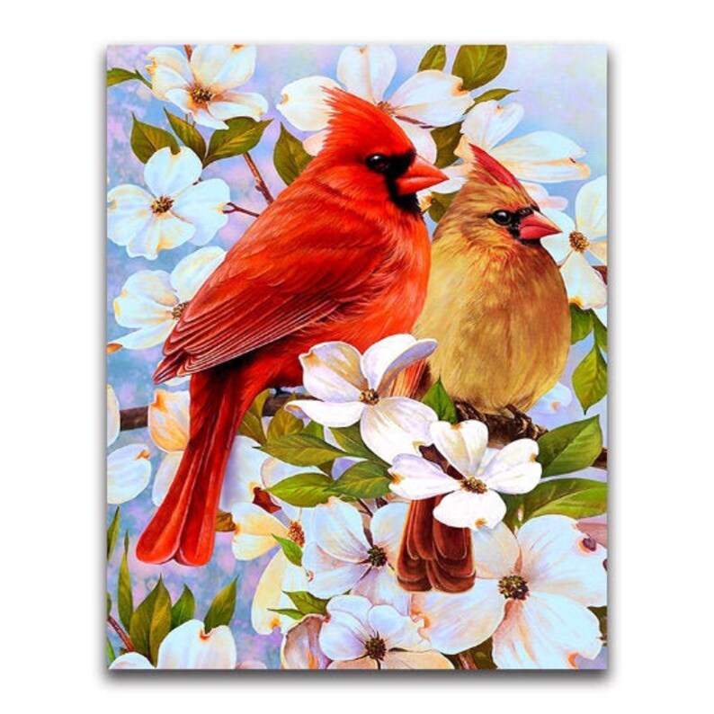 CARDINALS & BLOSSOMS Full Diamond Painting Kit 5D Diamond | Etsy
