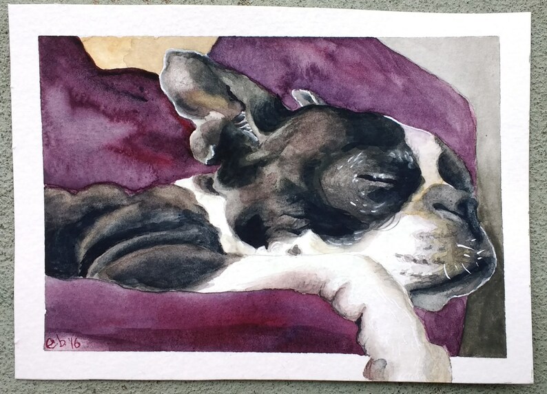 Memorial Portrait Dog Loss Sympathy Boston Terrier Dog Sympathy Gift Dog Remembrance