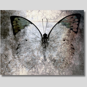 Abstract Butterfly Canvas Print: Mid Century Modern Wall Art