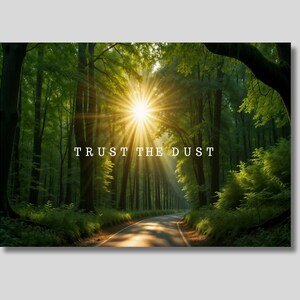 Puede incluir: Fotografía de un camino forestal bañado por el sol. Altos árboles bordean el camino, con el sol brillando intensamente a través del dosel. El texto "TRUST THE DUST" se muestra en blanco en la imagen.