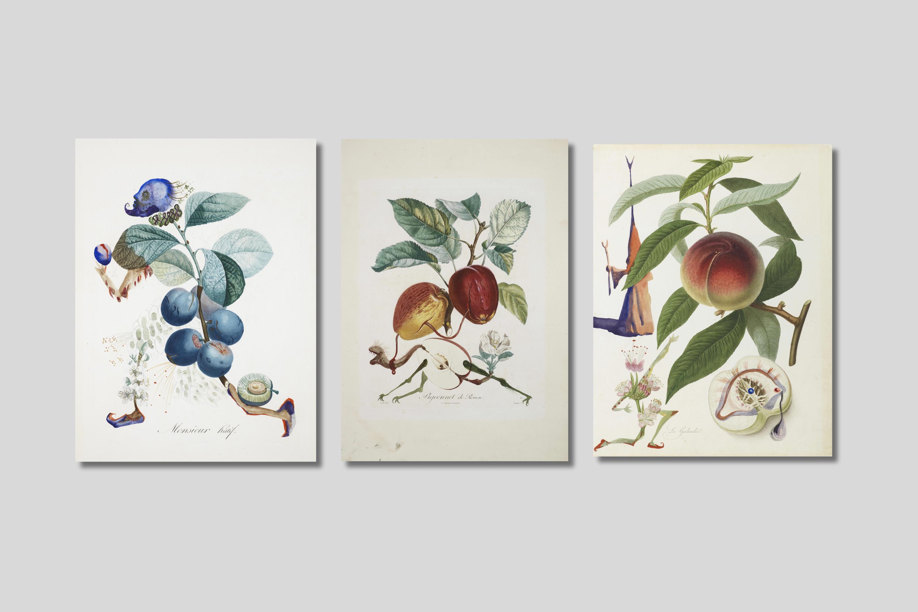 Salvador Dali Fruits Art Prints: Surreal Kitchen Canvas Decor, Set