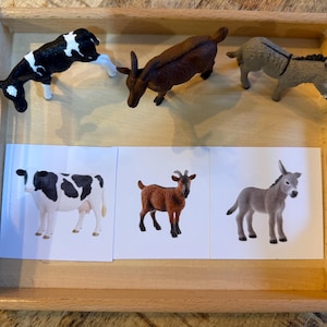 Può includere: Un vassoio in legno chiaro contenente tre statuette di animali in plastica, una mucca bianca e nera, una capra marrone e un asino grigio, posizionate sopra tre carte quadrate corrispondenti, ognuna con l'immagine stampata del relativo animale.