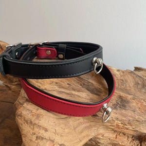 Può includere: Due collari in pelle, uno nero e uno rosso, con accessori in metallo argentato. I collari sono su una superficie di legno.
