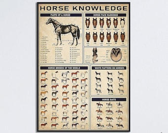 Kunst aan de muur paardenkennis, delen van een paard, cadeau paardenliefhebbers, muurdecoratie paard, paardenrassen van de wereld, poster gezichtsmarkeringen paard