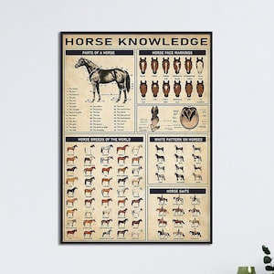 Horse Knowledge Wall Art, Parts Of A Horse, Horse Lovers Gift, Horse Wall Decor, Horse Breeds Of The World, Horse Face Markings Poster