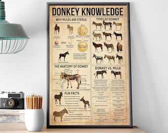 Donkey Knowledge Vintage Poster, Gift For Donkey Lovers, Donkey Wall Art, The Anatomy Of Donkey, Donkey Home Decor, Type Of Donkey Print